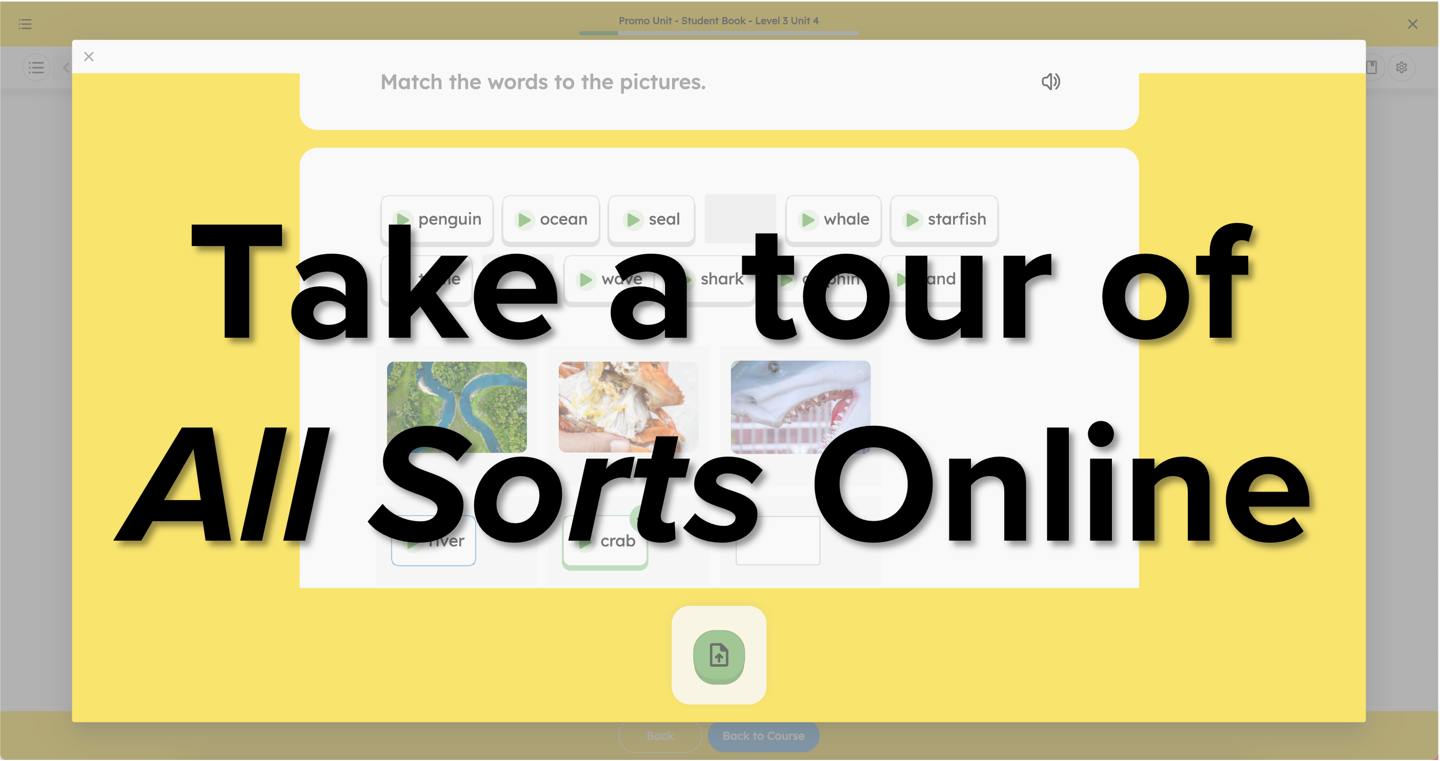 Click here to take a tour of All Sorts online.